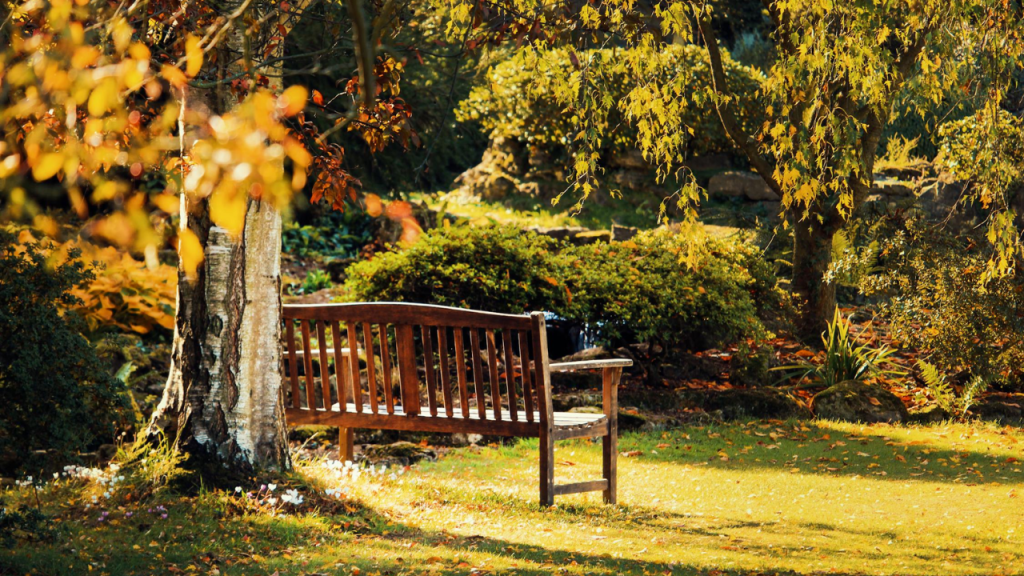 Will you go on a date with&nbsp;me