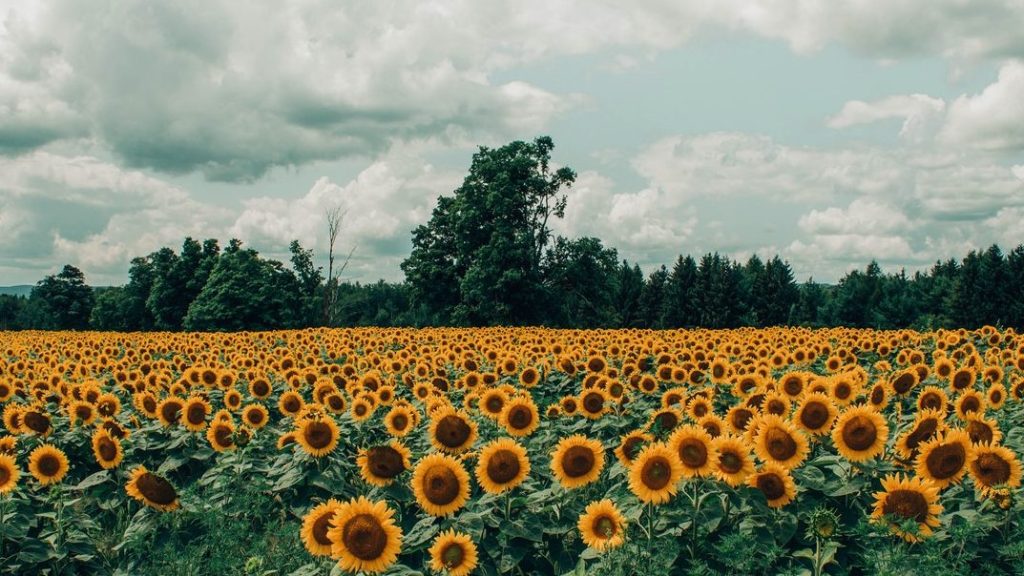 It can be hard sometimes, to stay your&nbsp;path