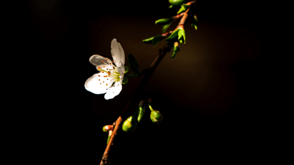 What makes you&nbsp;normal?