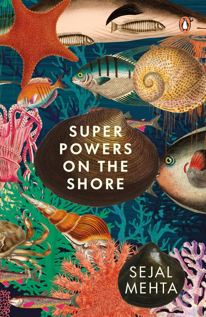 Superpowers On The Shore by Sejal Mehta